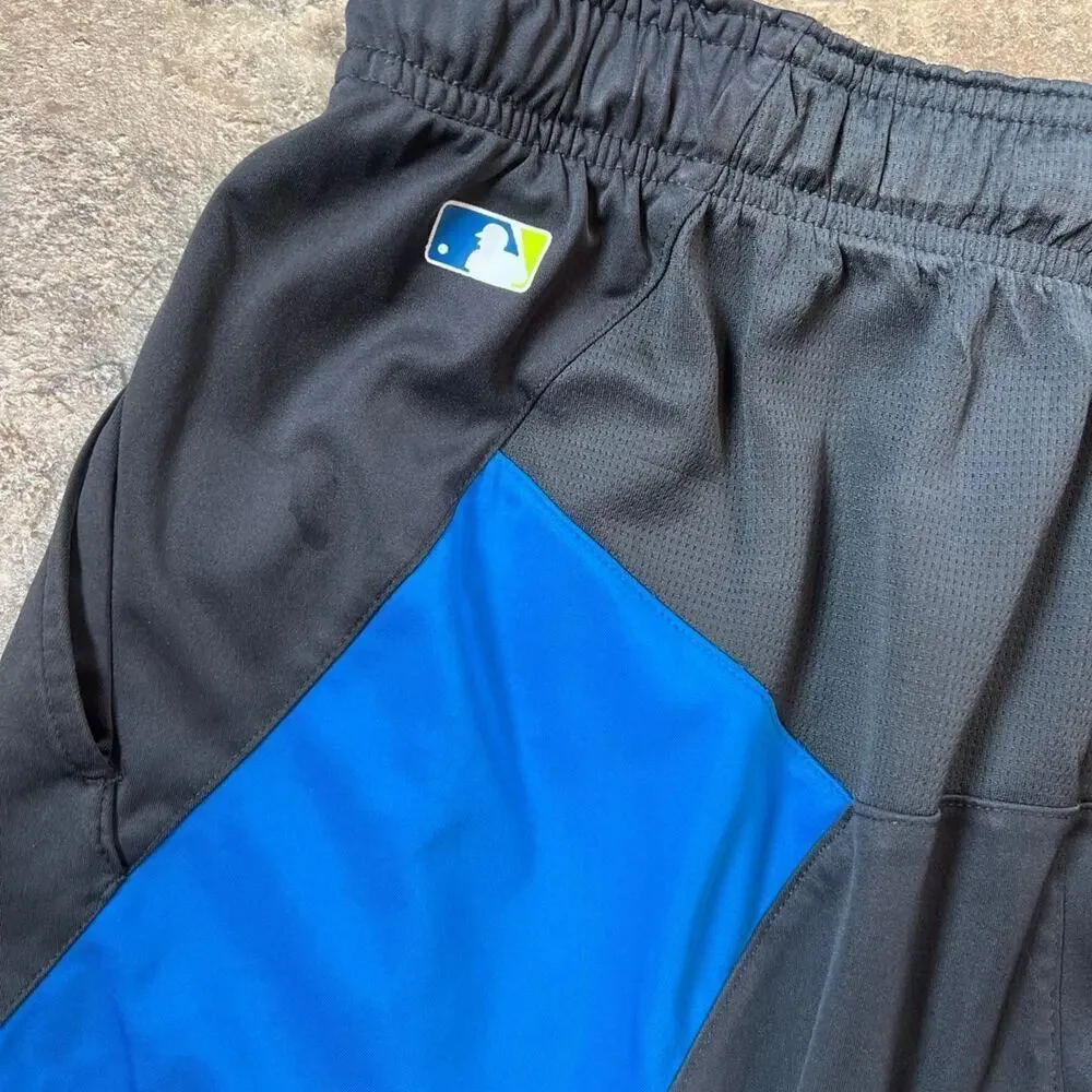 Nike Baseball Shorts, Black & Blue, Men's size L